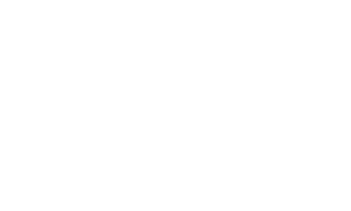 stragnebird