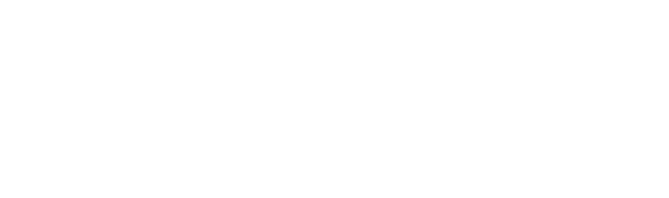 ccsi-white